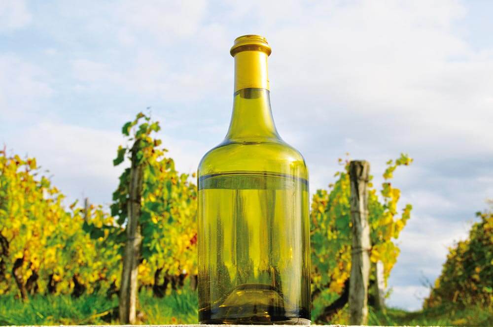 Oenotourisme journée itinérante dans le vignoble du Jura