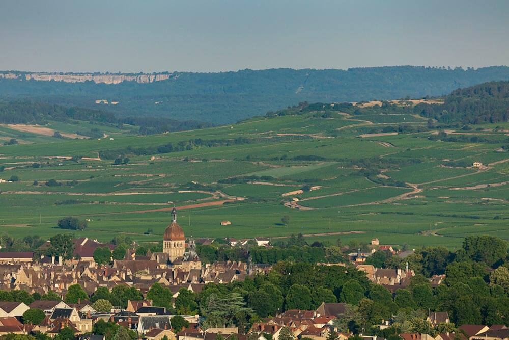 Visite guidée de Beaune en Bourgogne Franche-Comté, vue des collines